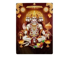 Love Marriage Specialist Baba Ji +91-8557948075