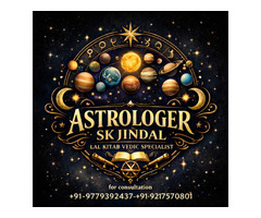 Astrology Lal Kitab Vedic horoscope+91-9779392437